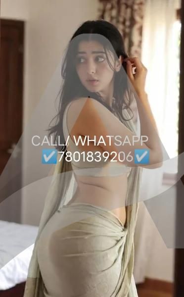 Bumper requirements for Male escort gigolo hurry up guys